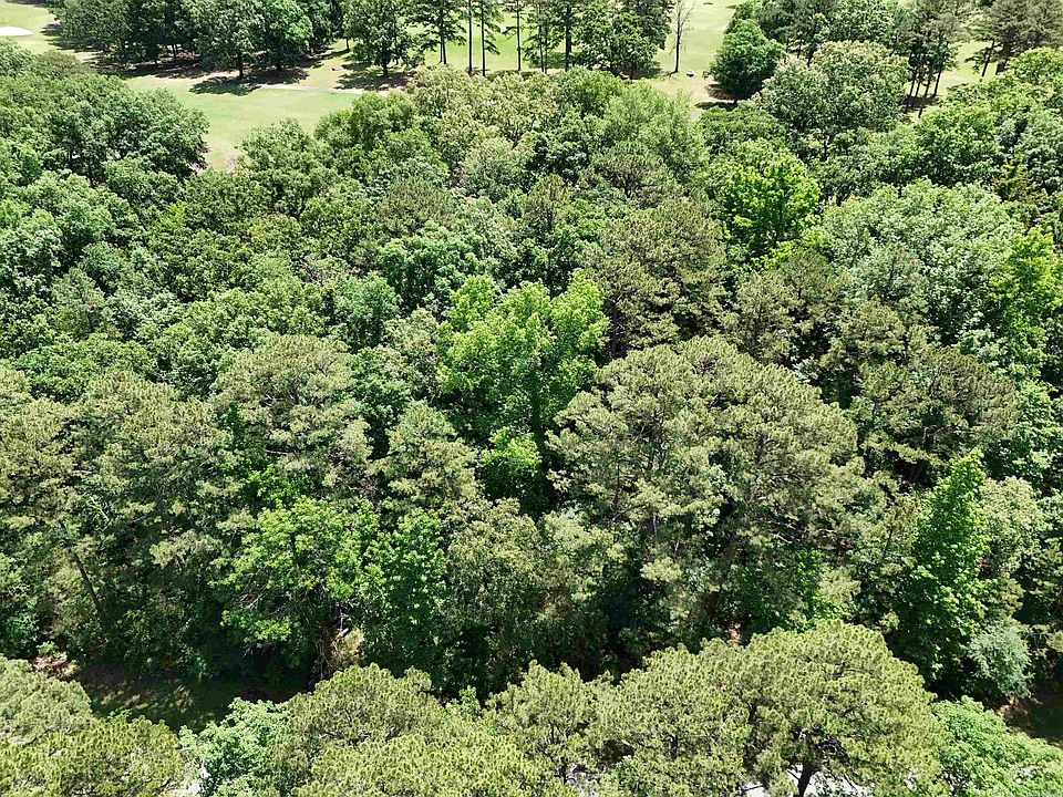 2nd image of LOT 8 Mountain Ranch Dr