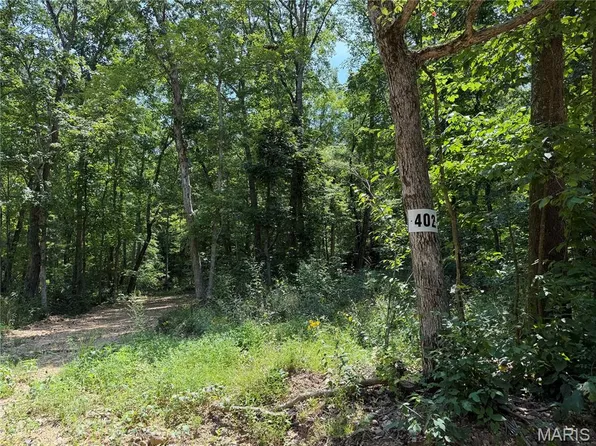 402 Madison St #410, Fredericktown, MO 63645