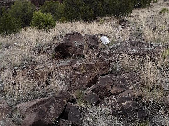 4th image of 1792 Queen Creek Pl