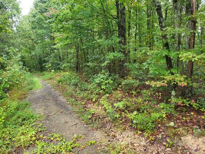 1 Peachwood Ln, Holladay, TN, 38341