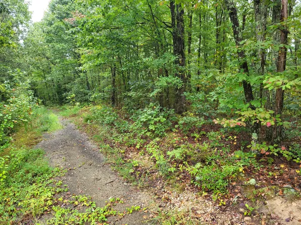 1 Peachwood Ln, Holladay, TN 38341