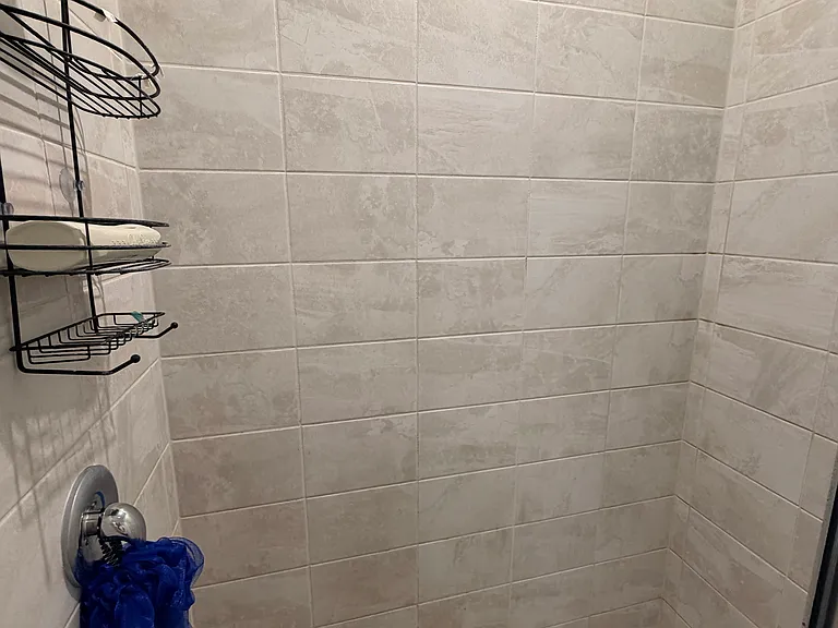 Master shower
