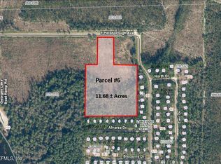 PARCEL 6 E Hillsborough Ave, Florahome, FL 32140