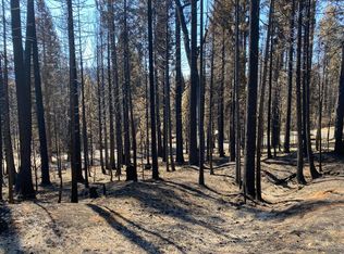 7235 Winding Way, Grizzly Flats, CA 95636