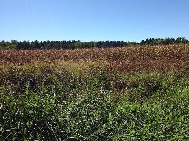 1st image of LOT 3 Pringle Dr Lot 3