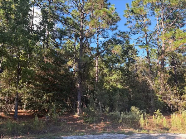 1742 W MESA VERDE DRIVE LOT 00700, BEVERLY HILLS, FL 34465