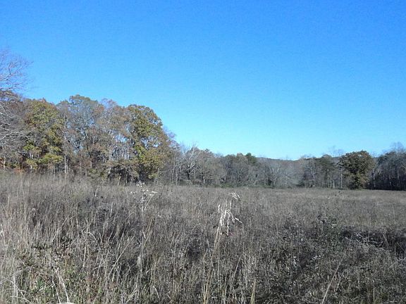4th image of 1402 Chris Haven Dr