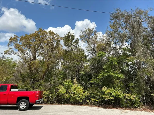 Ash Pass Run Lot 28, Ocala, FL 34472
