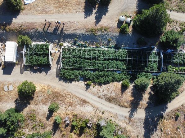155 / Friday Ridge Rd, Blue Lake, CA 95525