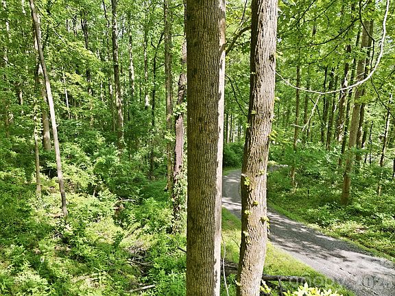 5th image of 0 Rocky Branch Trl