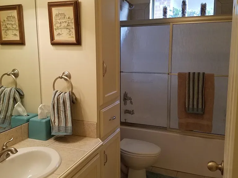 Hall Bathroom