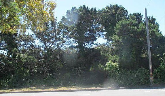 5th image of 400 Alemany Blvd APT 14