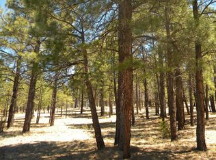 3481 Apache Dr, Happy Jack, AZ 86024