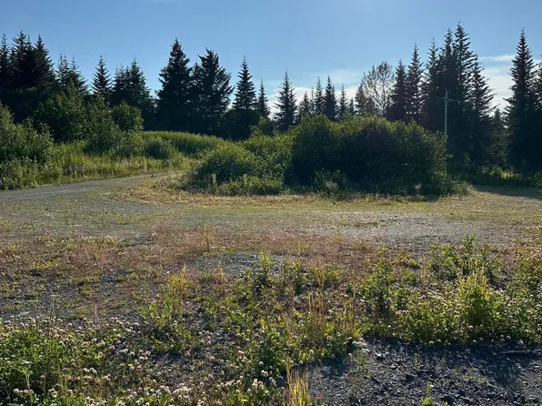 41610 Sterling Hwy, Homer, AK 99603