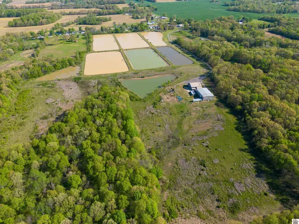 11525 State Route 97, Farmington, KY 42040