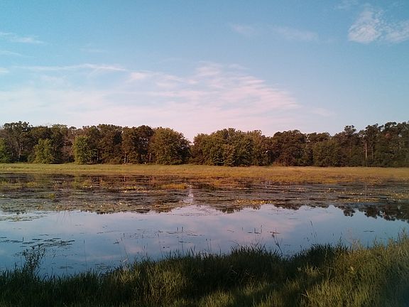 4th image of 9025 Boelter Lake Dr