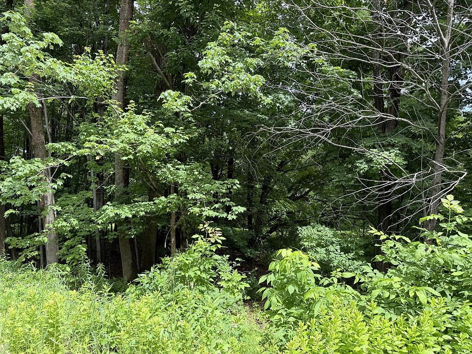 2nd image of 80 Soules Hill Road