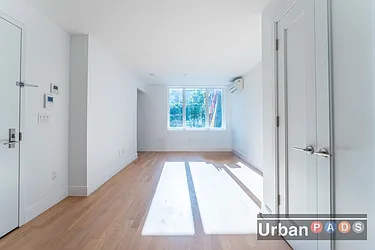 305 Kingsland Avenue, #1L