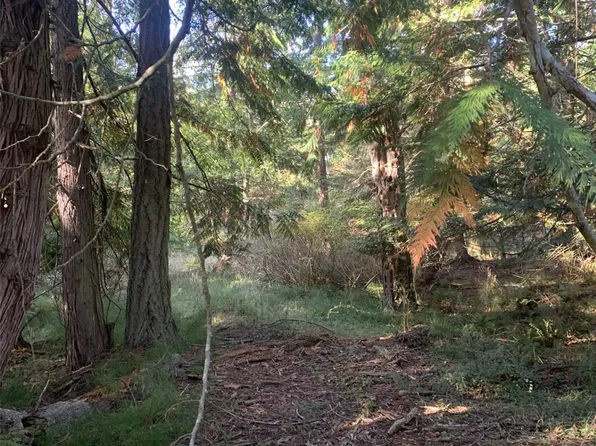 10 Harmon Ranch Road, Decatur Island, WA 98221