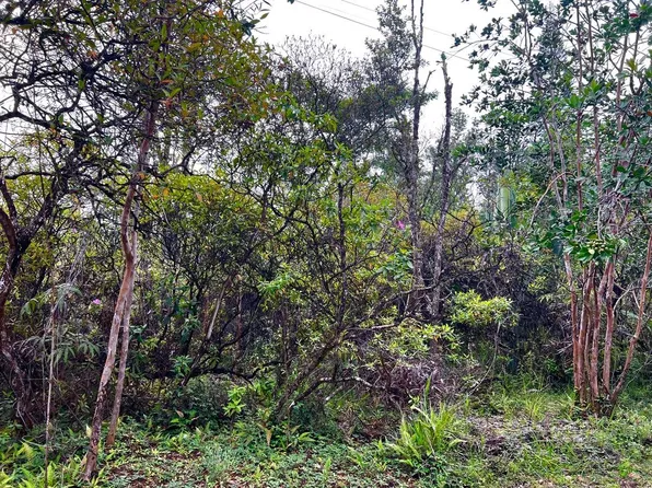 King Kamehameha Blvd Lot 26, Kurtistown, HI 96760