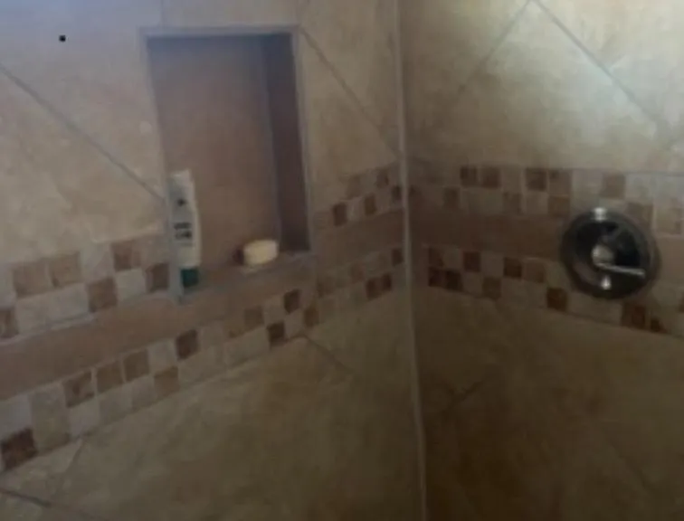 Walk In Shower