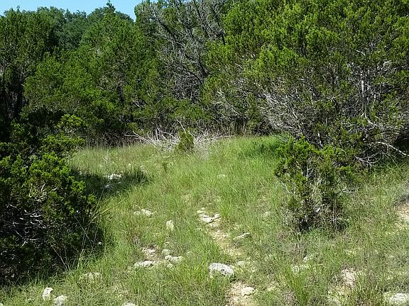 2nd image of 219 Crazy Horse Trl