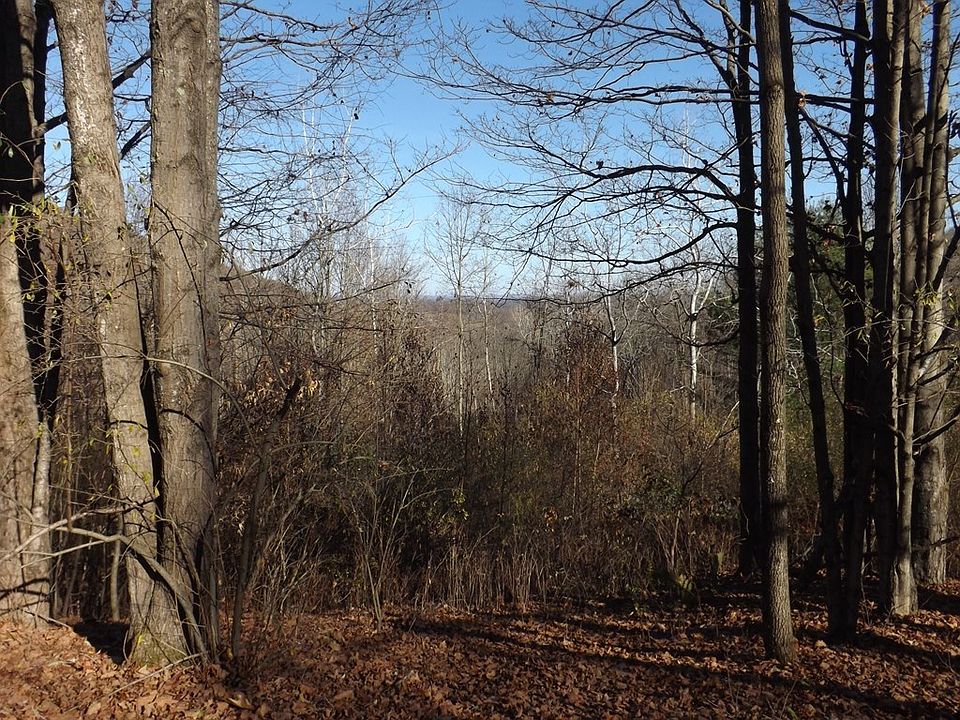 2nd image of 0 Shaffers Notch Rd