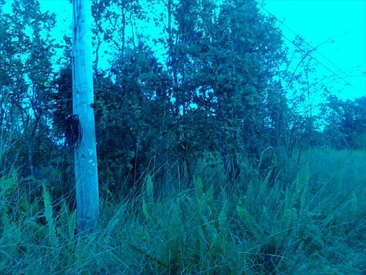 5th image of Road 9 Koloa Maoli Lot 5600