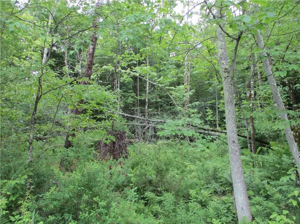 0 Buckley Hollow Rd, Oxford, NY 13830