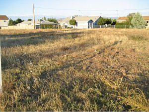 2nd image of 4441 N Miner Rd