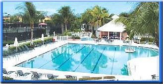 Jr. Size Olympic Pool