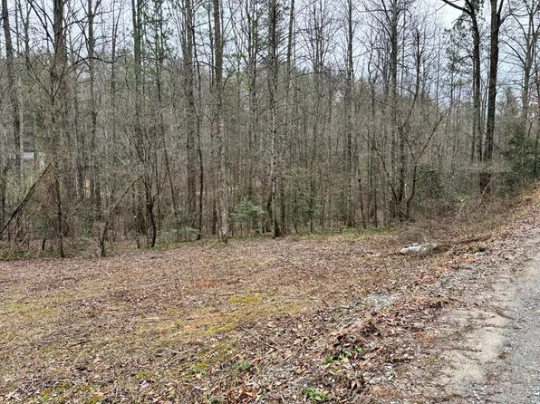 458 Charlottes Web Dr, Ellijay, GA 30540