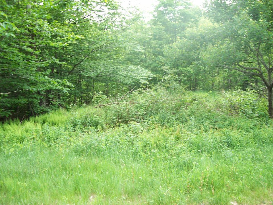 2nd image of 0 Dyken Pond Rd