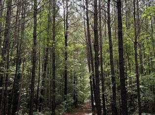 325 Kennedy Rd, Eagle Springs, NC 27242