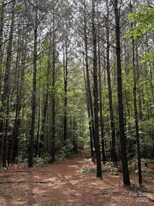 325 Kennedy Rd, Eagle Springs, NC, 27242