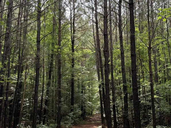325 Kennedy Rd, Eagle Springs, NC 27242