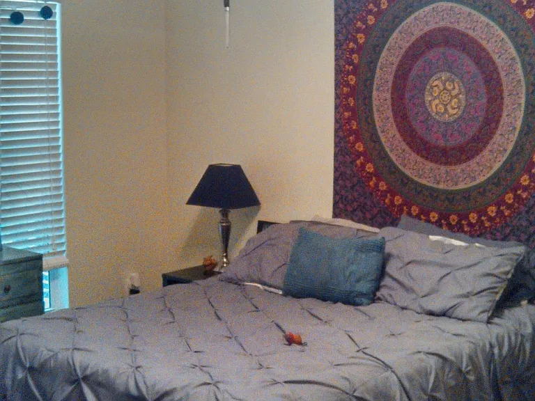700 Daniel Ellis Dr #14108 — Photo 11