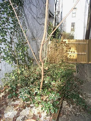 Rented by Townsley & Gay, LLC | media 16