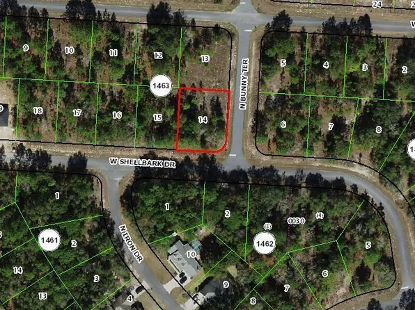 1975 W SHELLBARK Drive, Dunnellon, FL 34434