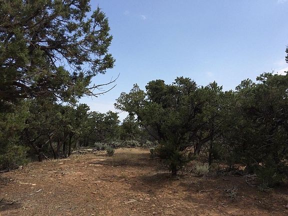 5th image of Tbd V 60 Trail