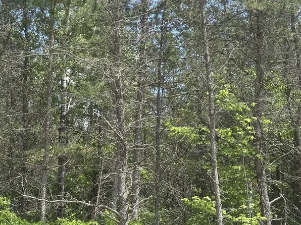 On Cth #Y-lot 19, Nekoosa, WI 54457