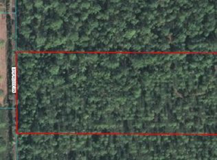 TRACT 1 NE 130th Ave, Fort Mc Coy, FL 32134