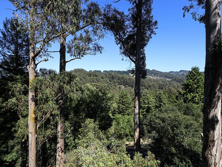 780 Wildcat Canyon Rd — Photo 57
