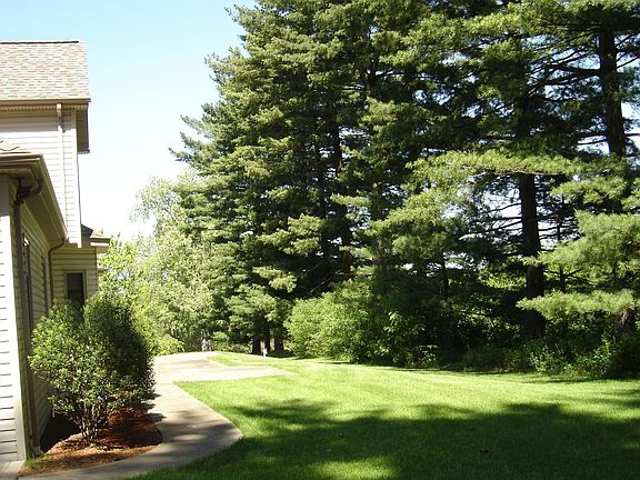 A lovely, tree-lined back yard