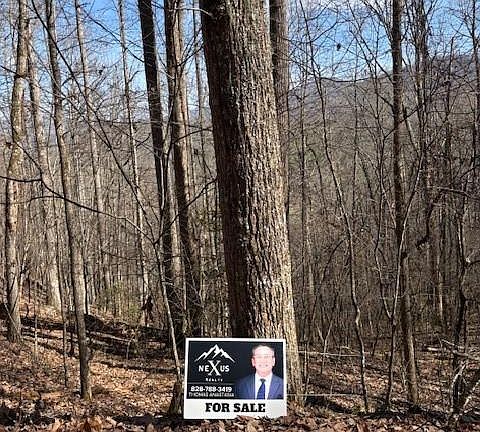 4th image of 13 Henderson Rd