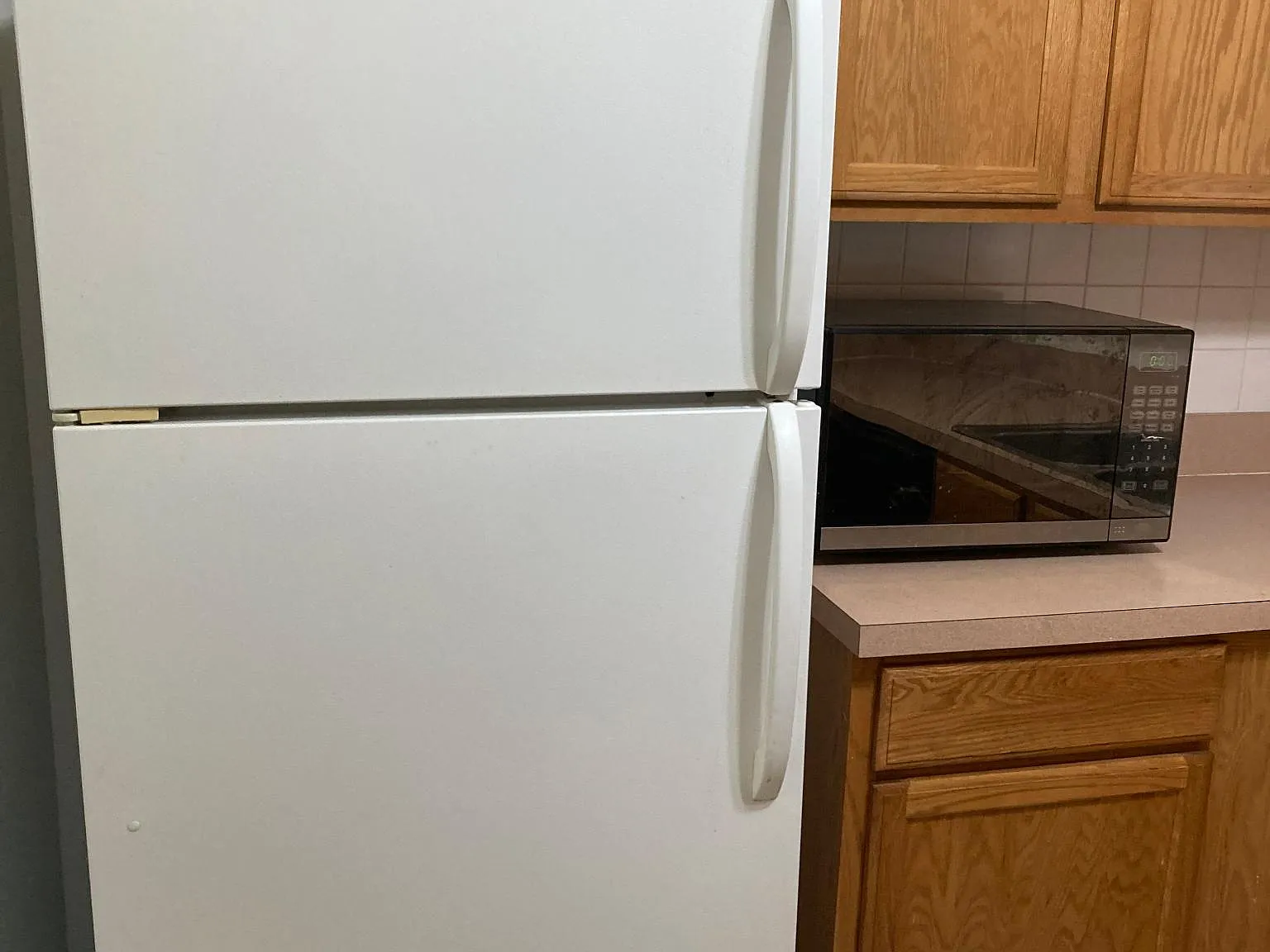 1 bed, 734 sqft, $1,000 — Photo 3