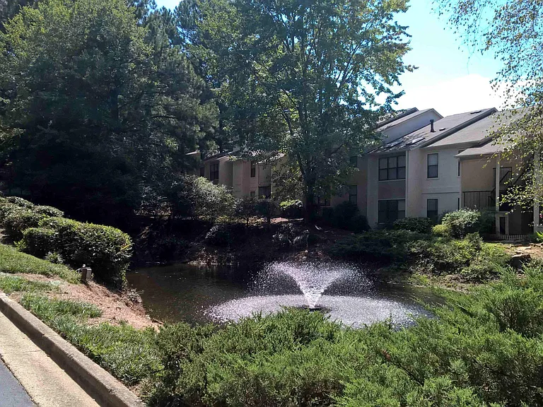 Community area