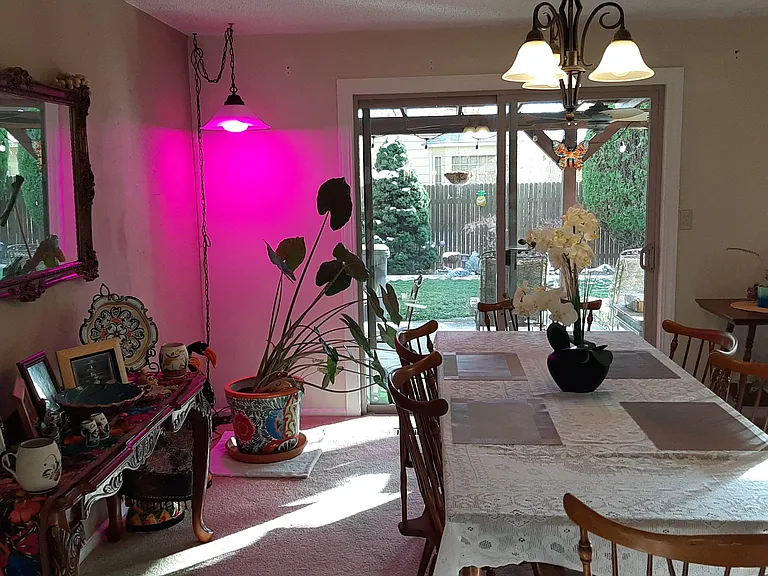 1907 W Norcrest Dr — Photo 12