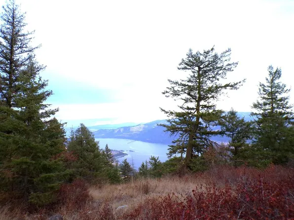 N Morning Star Ln, Inchelium, WA 99138