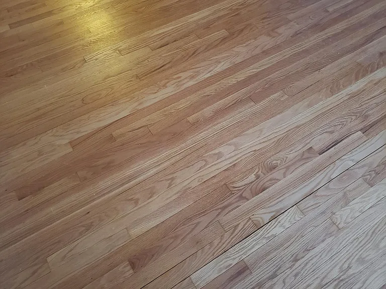 394 Graceland Ave — Photo 21